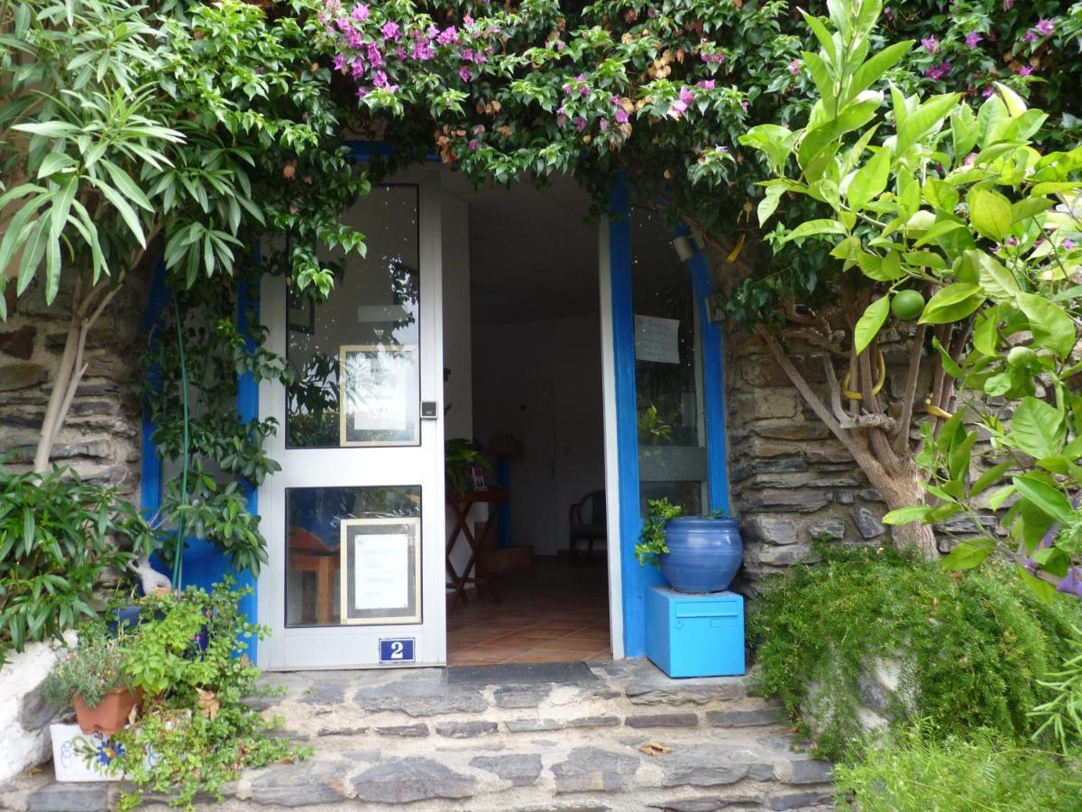 La Grande Bleue Apartment Banyuls-sur-Mer Exterior photo